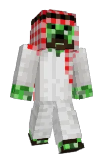 AVFG Minecraft avatar full body