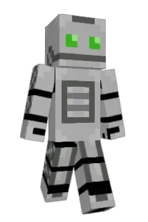 AVkongen Minecraft avatar full body