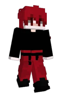 AYIC05 Minecraft avatar full body