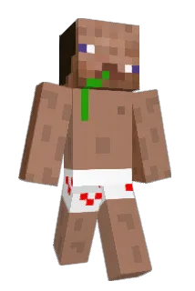 AZ4D_100PAPIERS Minecraft avatar full body