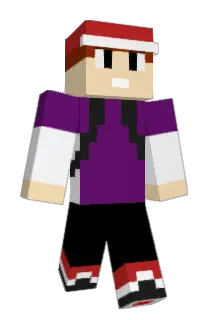 A_Present Minecraft avatar full body