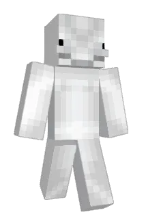 A_Y_D_I_N Minecraft avatar full body