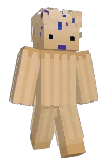 AaronErin11 Minecraft avatar full body