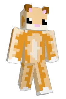 Abeja1171 Minecraft avatar full body