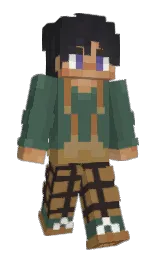 Custom render preview