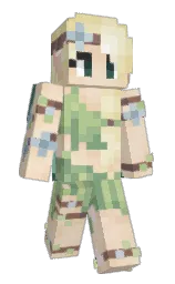Custom render preview