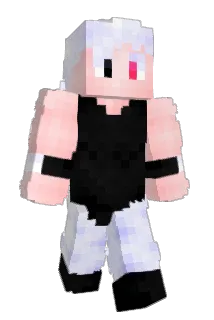 Acamh Minecraft avatar full body