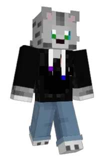 Acatnamedstorm Minecraft avatar full body