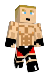 Acceleratedx Minecraft avatar full body