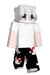 Acciidia Minecraft avatar full body