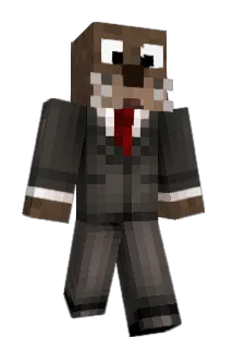 Acclazit Minecraft avatar full body