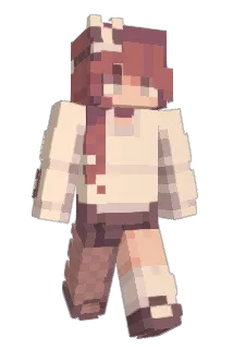 AceBasket222 Minecraft avatar full body