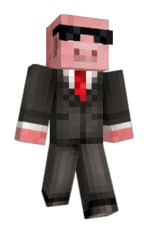 AceCase5 Minecraft avatar full body