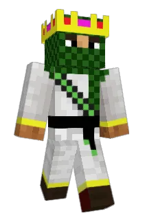AceGamer312 Minecraft avatar full body
