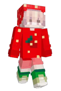 AceMNN Minecraft avatar full body