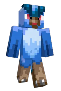 Acedirect Minecraft avatar full body