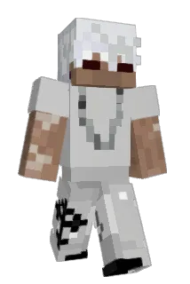 Aceero299 Minecraft avatar full body