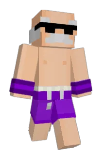 Aceifyy Minecraft avatar full body