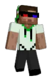 Acelot Minecraft avatar full body