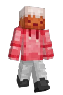 Aceninja202 Minecraft avatar full body