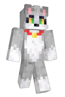 Acenix Minecraft avatar full body