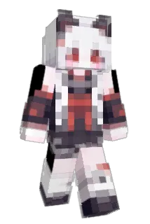 Aceny1 Minecraft avatar full body