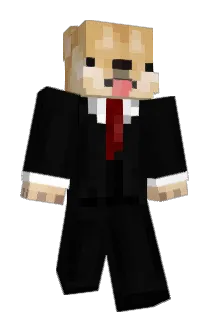 Aceo120 Minecraft avatar full body