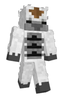 Acer_7 Minecraft avatar full body