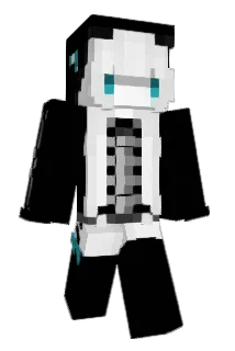 AcidWacid Minecraft avatar full body
