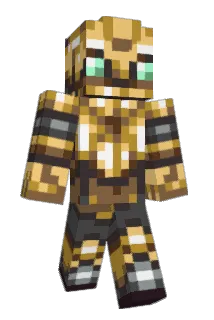 Acidicnut Minecraft avatar full body