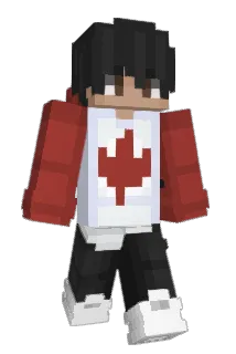 Acieu Minecraft avatar full body