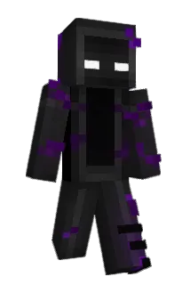 Acizlol Minecraft avatar full body