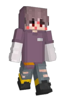 Acni Minecraft avatar full body