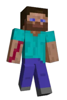 AcornWF Minecraft avatar full body