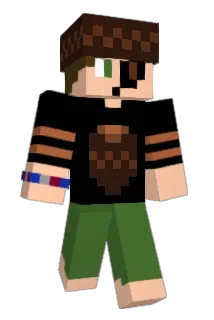 Acornylink Minecraft avatar full body