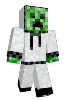 Acoxz Minecraft avatar full body