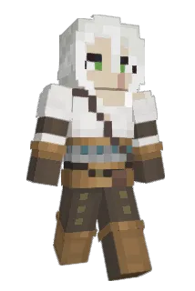 Acralegend Minecraft avatar full body