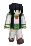 Acri Minecraft avatar full body