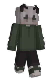 Acrohh Minecraft avatar full body