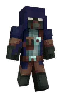 Acxpt Minecraft avatar full body