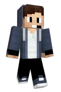 AdSweden Minecraft avatar full body