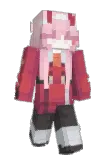 AdaTyv Minecraft avatar full body
