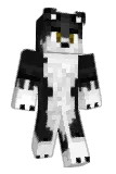 AdainFace Minecraft avatar full body