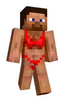 Adamachoo Minecraft avatar full body