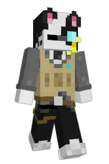 Adin4 Minecraft avatar full body