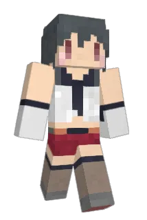AdmiralDolphin2 Minecraft avatar full body