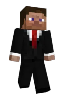 AdultSwimw Minecraft avatar full body