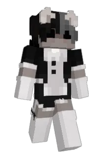 Advain Minecraft avatar full body