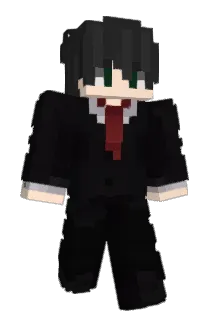 Advertisement_ Minecraft avatar full body
