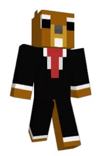 Aecorn Minecraft avatar full body